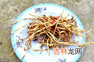 哪些人不宜吃鱼腥草,鱼腥草什么人不能吃