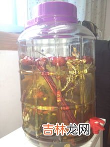 鹿茸鹿鞭泡酒的禁忌,鹿鞭和鹿茸可以放在一起泡酒吗？