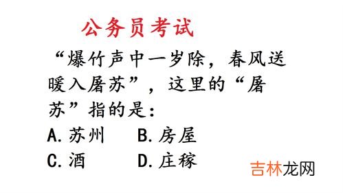 屠苏是什么意思,屠苏的意思是什么