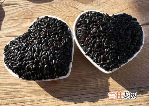 什么人不宜吃黑米,哪些人不能吃黑米