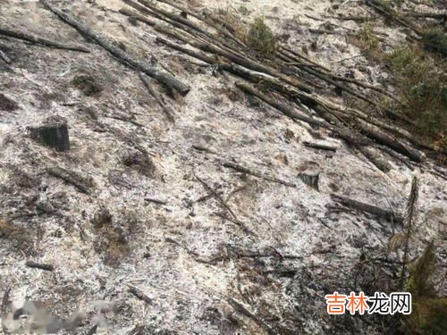 烟头应该放在什么颜色的垃圾桶里,烟蒂属于什么垃圾桶