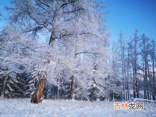冬天是什么样的季节,冬天是什么的季节?