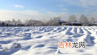 冬天是什么样的季节,冬天是什么的季节?