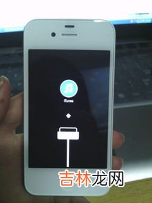 苹果手机为什么不显示4g网络,为什么我的苹果手机没有4g信号