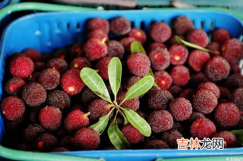 杨梅汁弄衣服上怎么洗干净,杨梅汁怎么洗掉