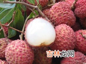 桂味荔枝和糯米糍荔枝的区别,荔枝具体分为几个品种，哪个是最好吃的？