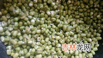 绿豆泡了一夜发芽了还能做绿豆汤吗,绿豆泡了一天一夜发芽了，还可以煮绿豆汤喝吗
