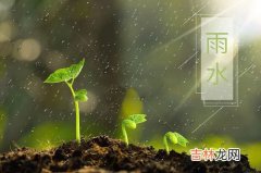 雨水节气一定下雨吗,雨水节气一定是雨天吗？