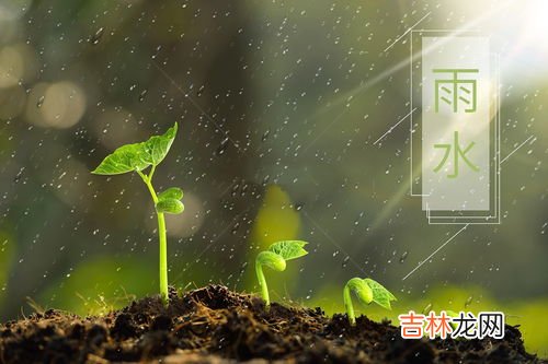 雨水节气一定下雨吗,雨水节气一定是雨天吗？