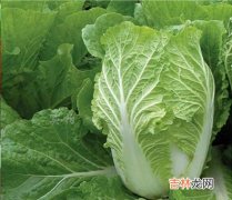 楼房怎么储存白菜过冬,住楼房了冬天白菜怎么储存