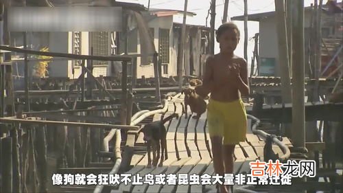 地震前有哪些异常征兆,地震有哪些征兆