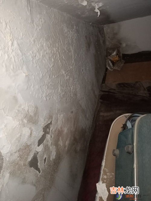 房屋漏水怎么修补,房屋漏水用什么修补最好