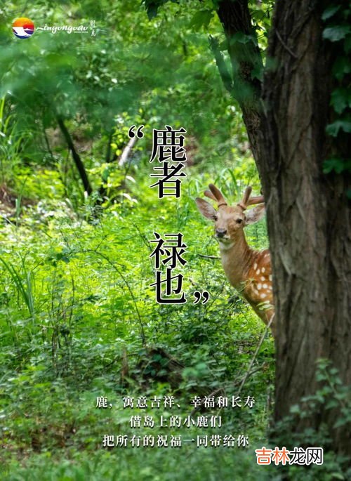 鹿的寓意是什么意思,鹿象征什么呢？