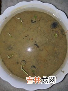 白凉粉对身体有伤害吗,白凉粉危害是什么?