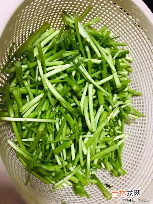 蒌蒿怎么吃,蒌蒿满地芦芽短的蒌蒿是什么植物?请问能食用吗?