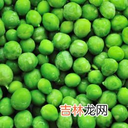 青豆的禁忌,青豆的功效作用以及食用禁忌