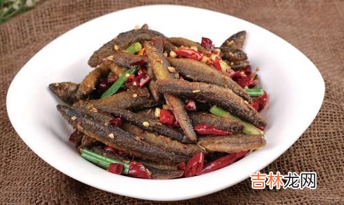泥鳅吃什么食物,泥鳅主要吃什么？
