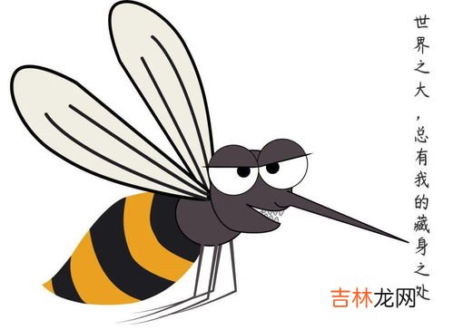 冬天有蚊子正常吗,为什么冬天屋子里会有那么多的蚊子呢?