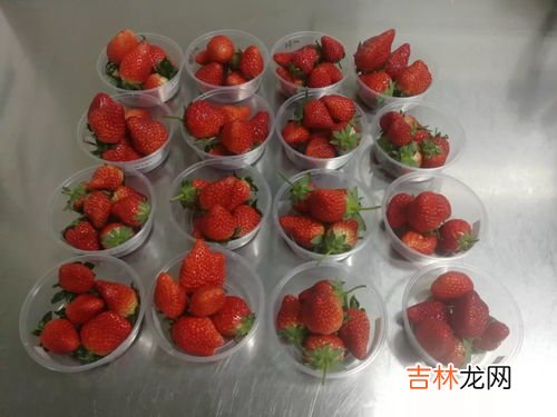 草莓怎么洗才干净,草莓怎么洗才干净又不坏 草莓人清洗方法