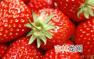 草莓怎么洗才干净,草莓怎么洗才干净又不坏 草莓人清洗方法