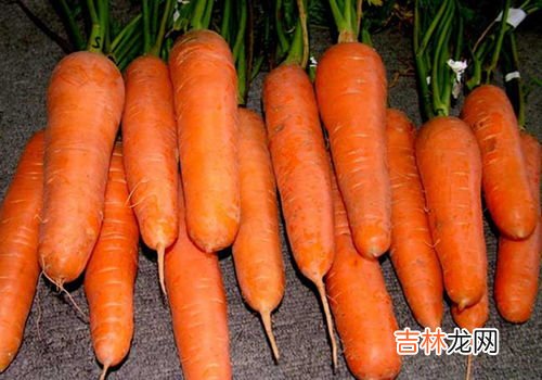 胡萝卜不能和什么一起吃,胡萝卜会与哪些食物相克？