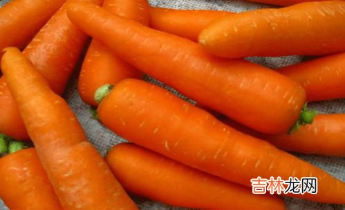 胡萝卜不能和什么一起吃,胡萝卜会与哪些食物相克？