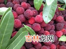 杨梅怎么保存时间长,杨梅怎么保存能放时间长一点,清洗密封冷冻可保存近一年吗？