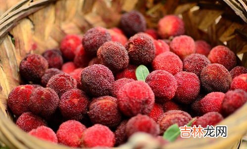 杨梅怎么保存时间长,杨梅怎么保存能放时间长一点,清洗密封冷冻可保存近一年吗？