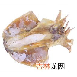 墨鱼是凉性还是热性,墨鱼是温补食品么