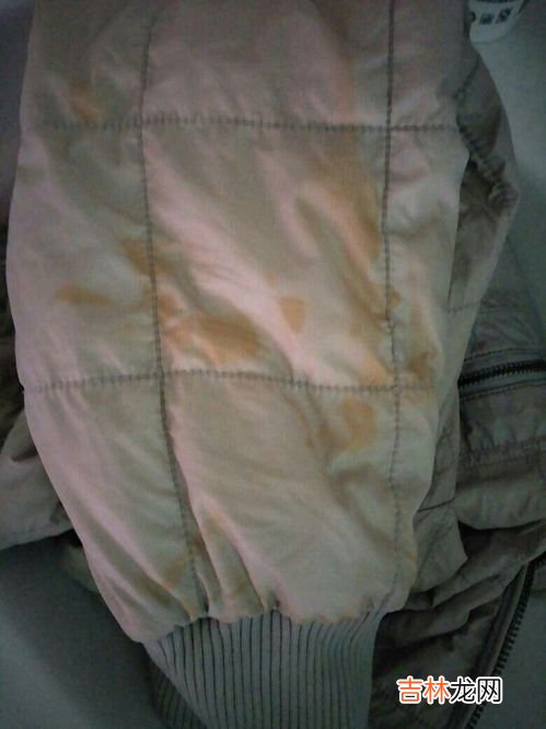 衣服有黄锈怎么弄掉,衣服有黄锈怎么弄掉