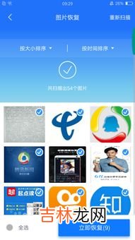手机照片删了如何恢复,手机照片删了如何恢复