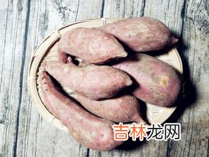 红薯如何保存一年,新鲜红薯怎么保存不容易坏