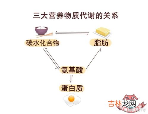 不吃碳水化合物身体有没有危害,身体长时间不摄入碳水化合物的话，会对我们的身体产生哪些危害？