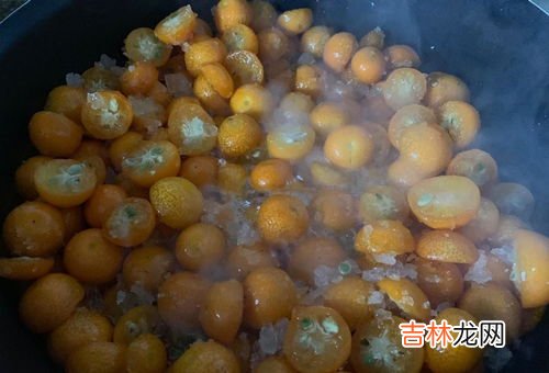 青果蜜饯怎么做 青杏怎么做成蜜饯,青杏怎么做成蜜饯