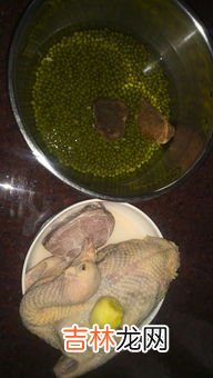 绿豆炖排骨鸽子汤的做法,鸽子炖汤怎么炖好吃又营养