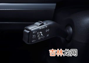 定速巡航是什么意思呀,定速巡航是什么意思