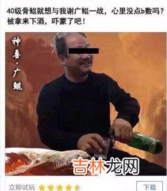 老虚是什么梗,老虚是谁