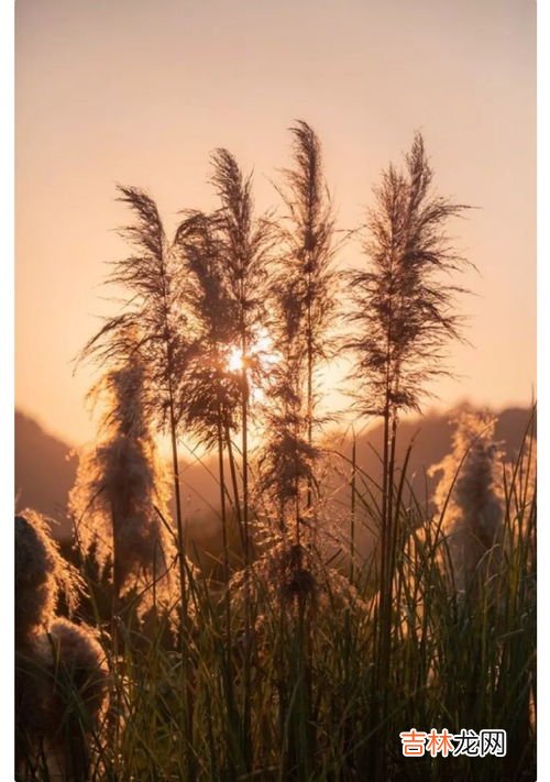 幽州台是什么地方,唐代诗人陈子昂所作的《登幽州台歌》为千古名篇,诗中的幽州是如今的哪理?