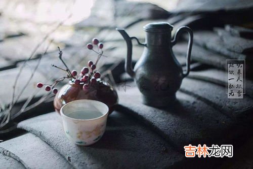 绿蚁新醅酒的绿蚁是指什么,绿蚁是指什么意思 绿蚁意思是指什么