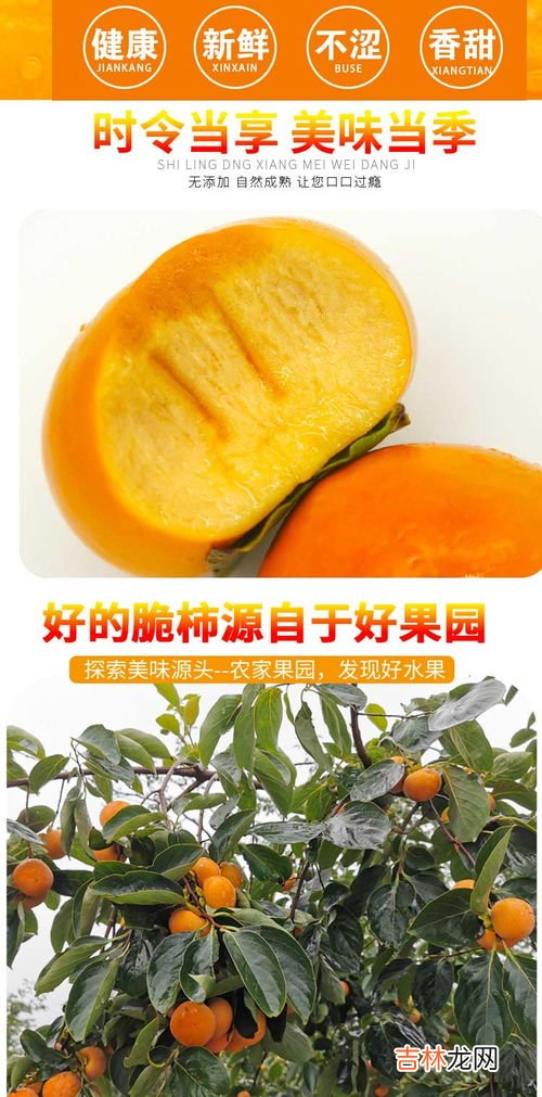 芒果和柿子一起能吃吗,芒果和柿子能一起吃吗