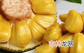 菠萝蜜功效与禁忌症,菠萝蜜的功效与作用禁忌症