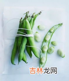 新鲜的豌豆出了点小芽能吃吗,豌豆长芽子了能吃吗