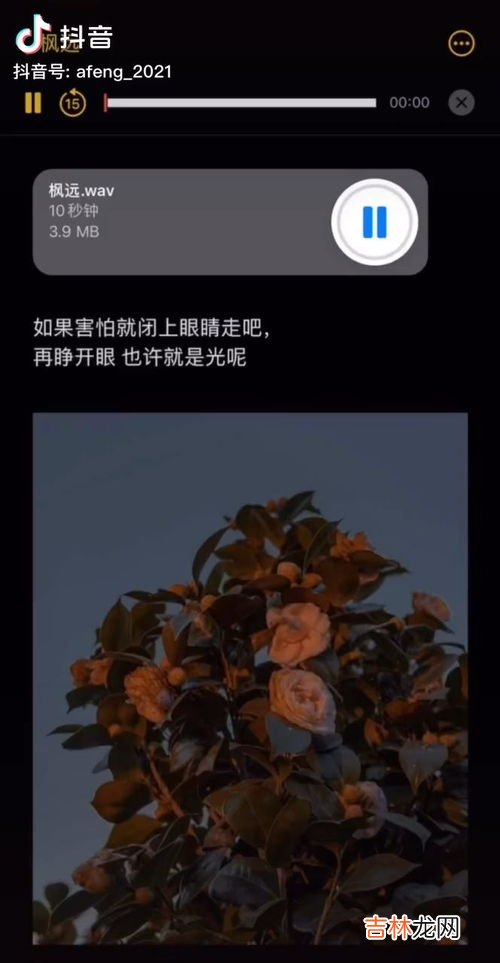 华为手机怎样在备忘录里画画,华为畅享7plus备忘录怎么画画？