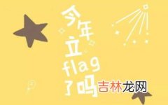 flag是什么意思中文,flag是什么意思中文