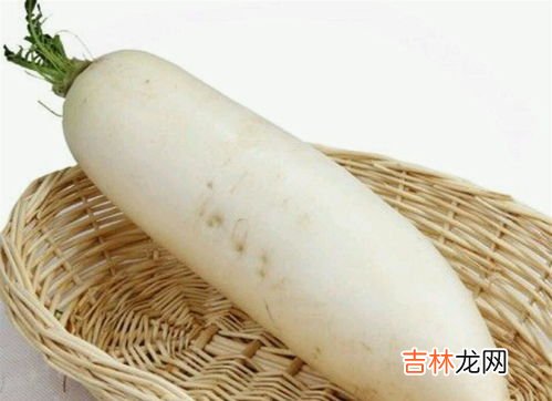 萝卜种子要浸泡催芽吗,胡萝卜如何浸种催芽