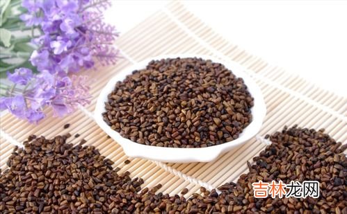 菊花决明子茶可以长期喝吗,菊花决明子茶能天天喝吗 菊花决明子茶适合什么人喝