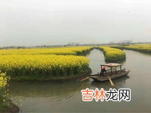 泰州有什么好玩的地方,泰州有什么好玩的地方