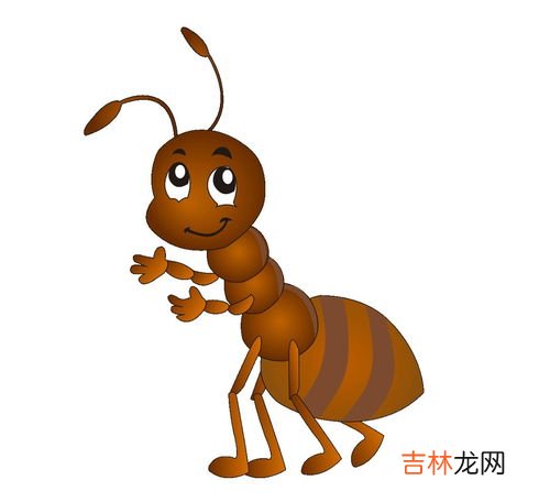 蚂蚁分类,蚂蚁分类与分工
