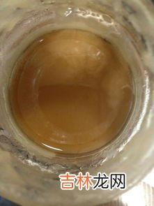 蜂蜜是蜜蜂的屎吗,蜂蜜里的蜜蜂屎能吃吗?