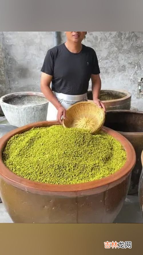 绿豆粉皮怎么做好吃,干绿豆皮怎么炒好吃